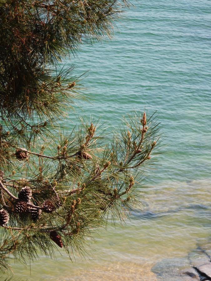 Everlasting Sea PalaiónTsiflíkion المظهر الخارجي الصورة