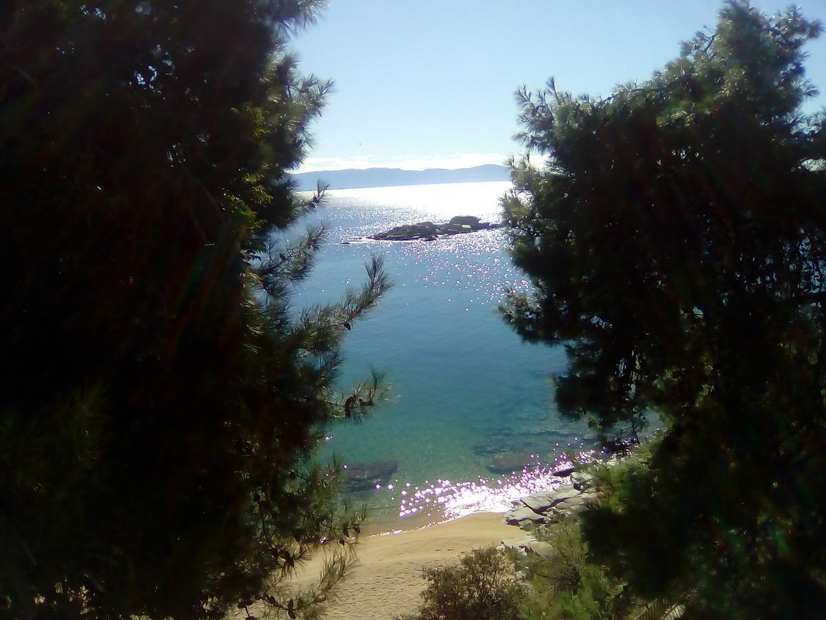 Everlasting Sea PalaiónTsiflíkion المظهر الخارجي الصورة